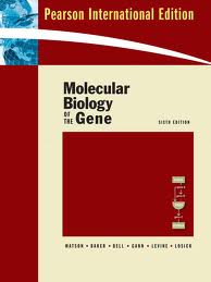 molecular biology of gene