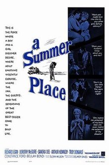 download movie a summer place film