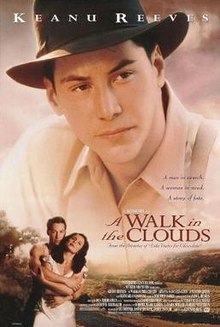 download movie a walk in the clouds