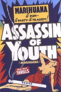 download movie assassin of youth