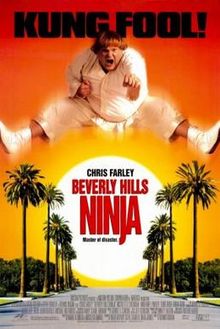 download movie beverly hills ninja