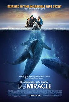 download movie big miracle