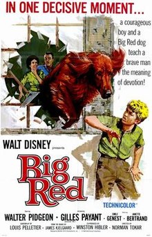 download movie big red film