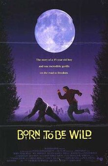 download movie born to be wild 1995 film