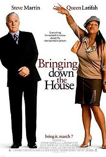 download movie bringing down the house film