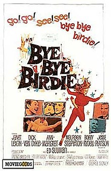 download movie bye bye birdie film