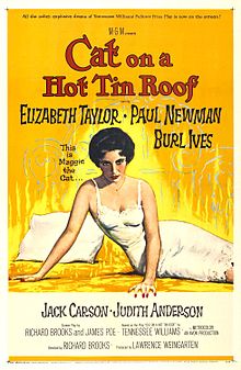download movie cat on a hot tin roof film