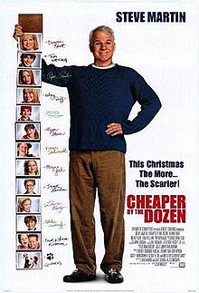 download movie cheaper by the dozen 2003 film