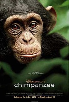 download movie chimpanzee film
