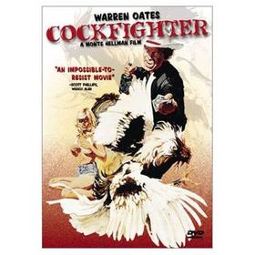 download movie cockfighter