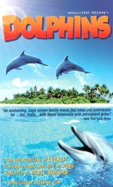 download movie dolphins 2000 film
