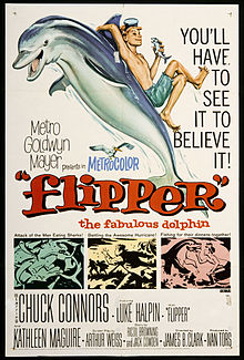 download movie flipper 1963 film