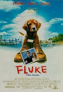 download movie fluke film