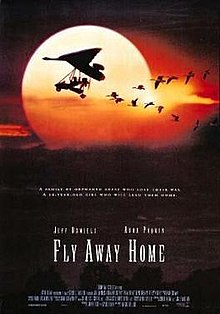 download movie fly away home