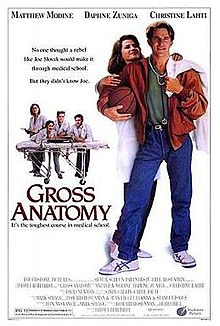 download movie gross anatomy film