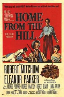 download movie home from the hill film