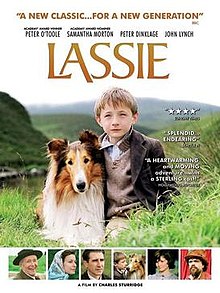 download movie lassie 2005 film