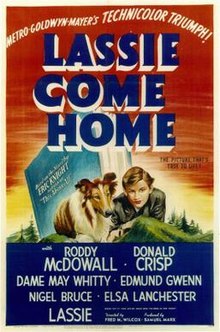 download movie lassie come home