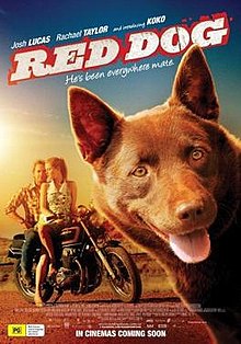 download movie red dog film