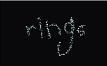 download movie rings 2005 film