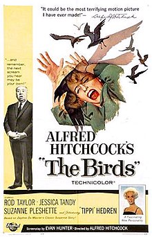 download movie the birds film