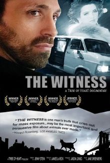download movie the witness 2000 film