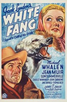 download movie white fang 1936 film