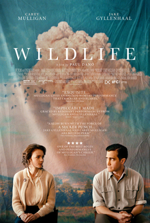 download movie wildlife film