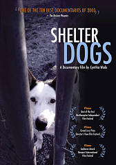 download movie shelter dogs