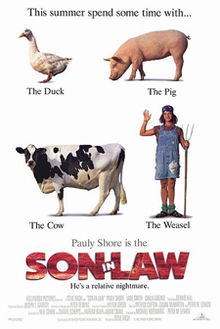 download movie son in law