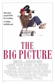download movie the big picture 1989 film