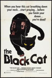 download movie the black cat 1981 film