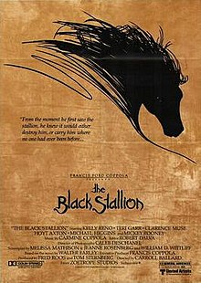 download movie the black stallion film