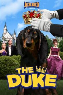 download movie the duke film