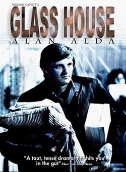 download movie the glass house 1972 film