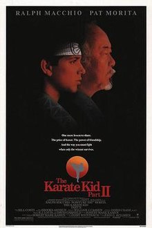 download movie the karate kid part ii