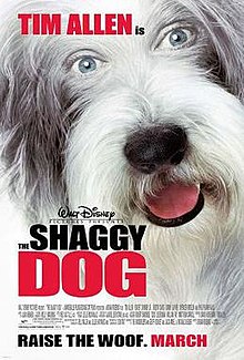 download movie the shaggy dog 2006 film