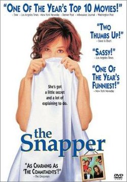 download movie the snapper film