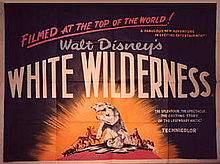 download movie white wilderness film