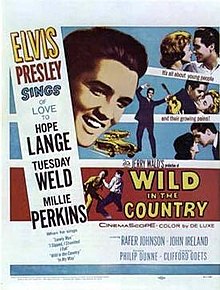 download movie wild in the country