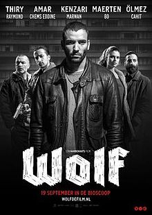 download movie wolf 2013 film