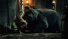 download movie zoo 2017 film