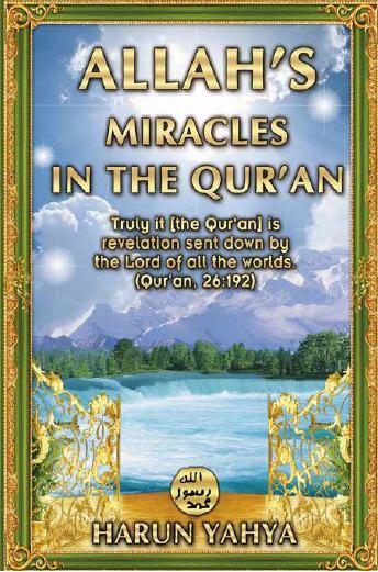 Allahs Miracles In the Quran