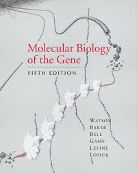 molecular biology of gene