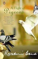 a flight of pigens