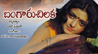 Vanitha Police