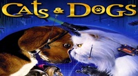 Cats And Dogs