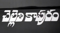 Mulla Nasaruddin